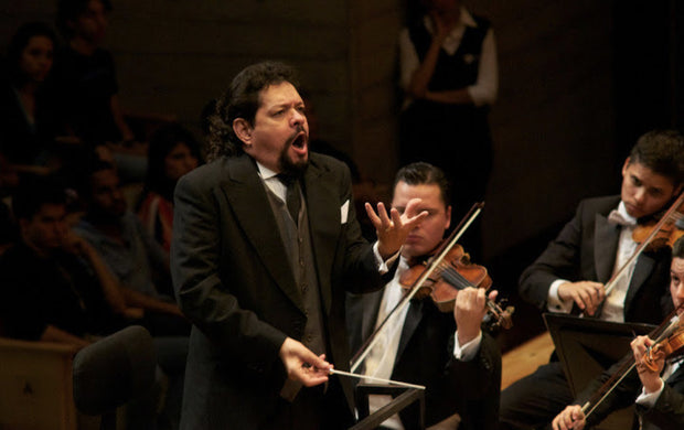 Rehearsal Organization and Repertoire selection according to the Attributes of the Musical Ensembles